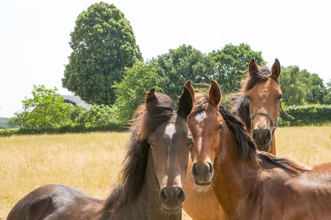B&B De Nieuwenhof 'De Voorkamer' Melderslo Εξωτερικό φωτογραφία